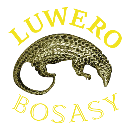 Luwero Bosasy
